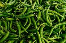 Green chilli export India