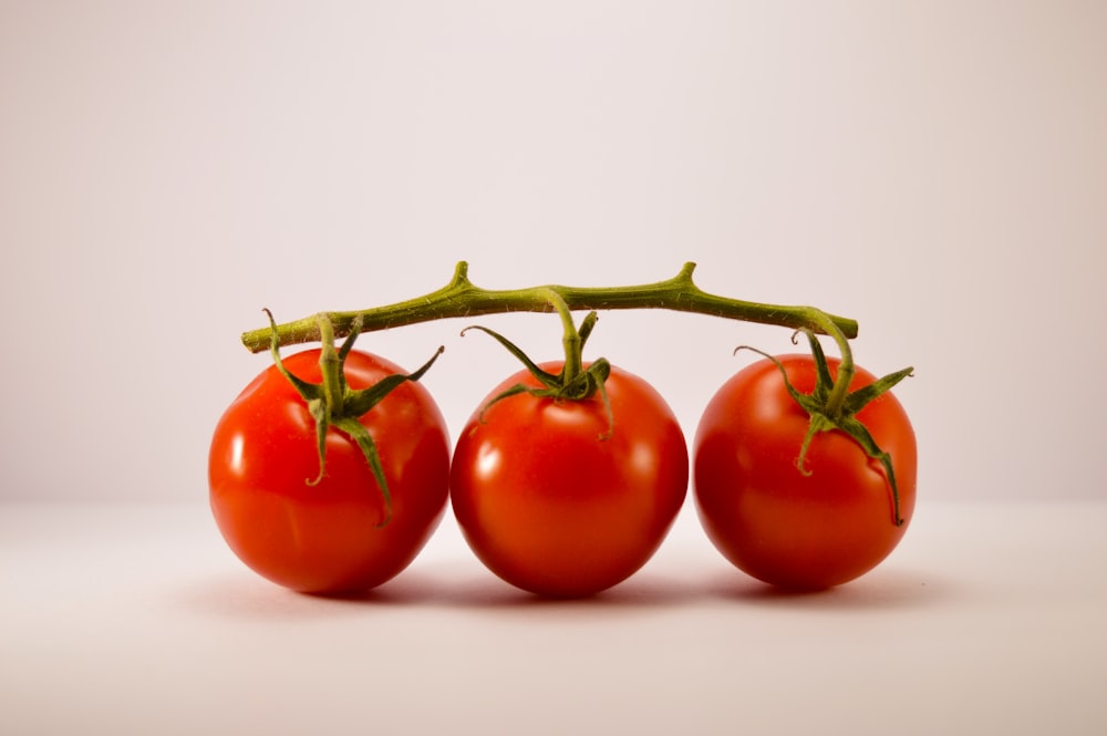 Tomato export India